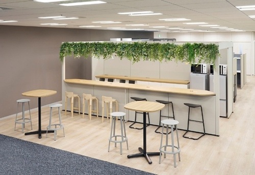 office_renewal_04_500.jpg
