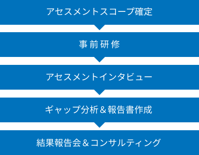 アセスメントスコープ確定　事前研修　アセスメントインタビュー　ギャップ分析&報告書作成　結果報告会&コンサルティング